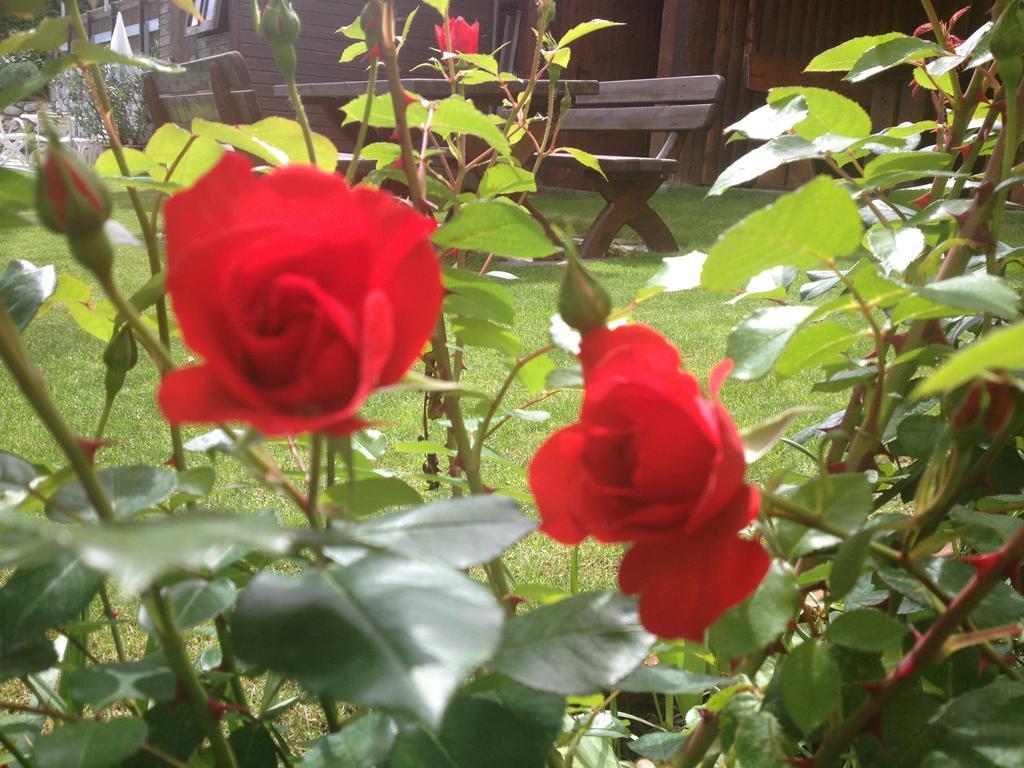 מרלנגו Pension Rosemarie מראה חיצוני תמונה